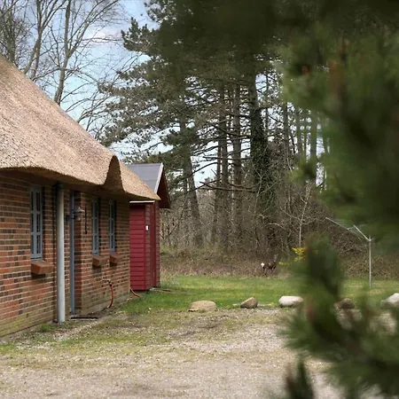 Feriehus 0213-romo-a-hveyselsvej-3 Vesterhede